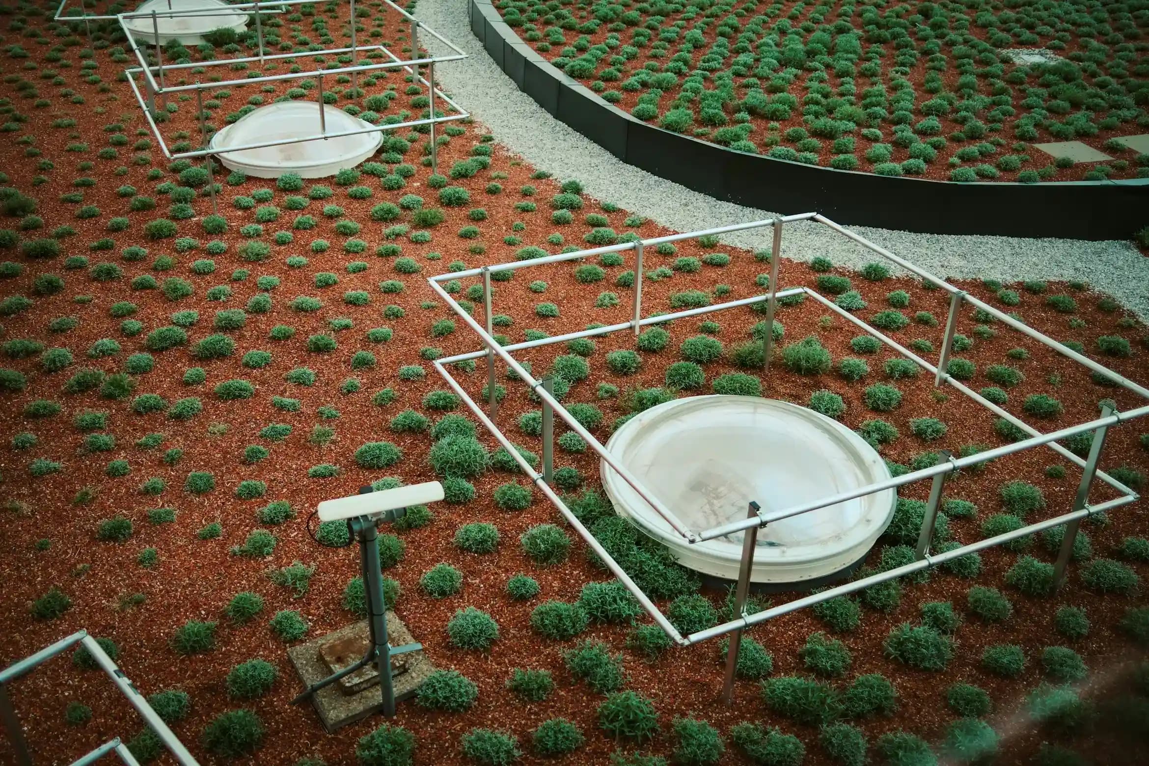 Ramadi — Organic Farm — photo 5